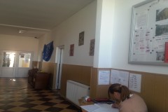 Sc.-Chirnogeni